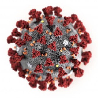 Virus korona Indonesia