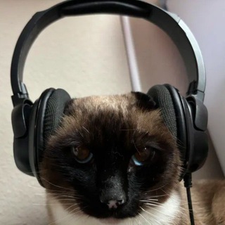 кιαм тσ¢α ℓιƒє ωσяℓ∂ ♥︎