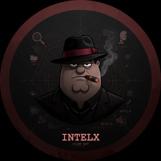 Intelx.io Query