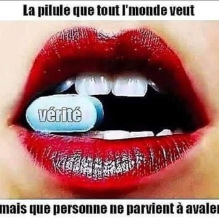 L’éveil 2022