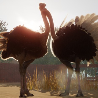 Planet Zoo Images