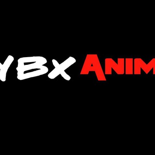 YBX TEAM