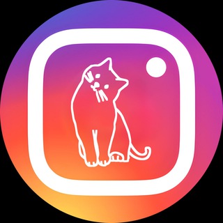 Catsgram
