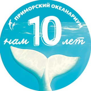 Приморский океанариум | Научно-образовательный комплекс ✔