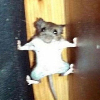 Подслушано БелФД 🐀
