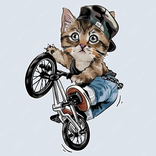 BMX-разговоры