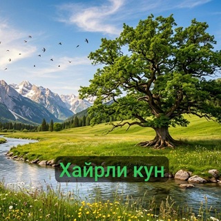 Хайрли кун