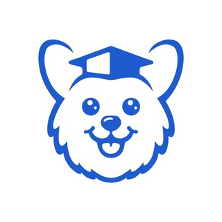 Corgish.app