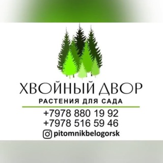 Питомник декоративных растений🌲