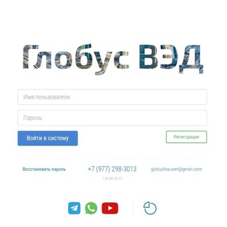 Портфолио компании Глобус ВЭД