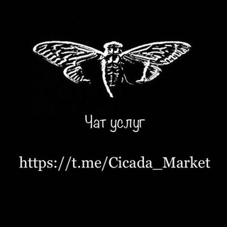 Cicada | Чат услуг