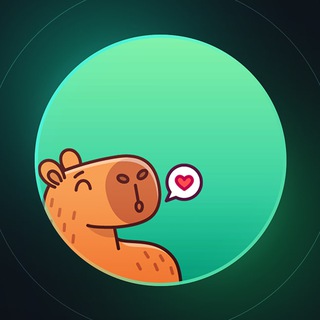 CAPYBARAVPN SUPPORT