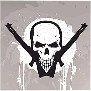 Raider стримы