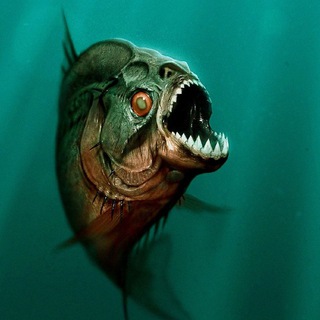 سلسلة أفلام Piranha