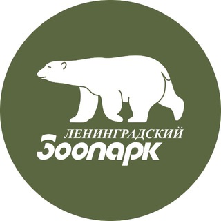 Ленинградский зоопарк ✔