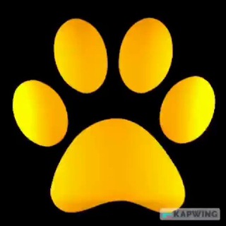 Furry Connections