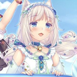 шина