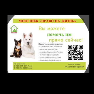 «Право на жизнь» 🐕🐈