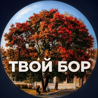 Твой Бор | tvoy-bor.ru ✔
