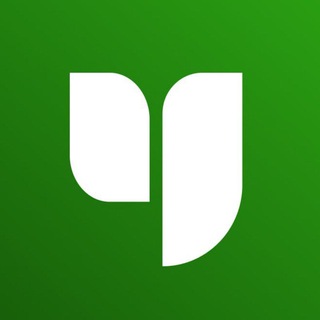 Инфоурок ✔